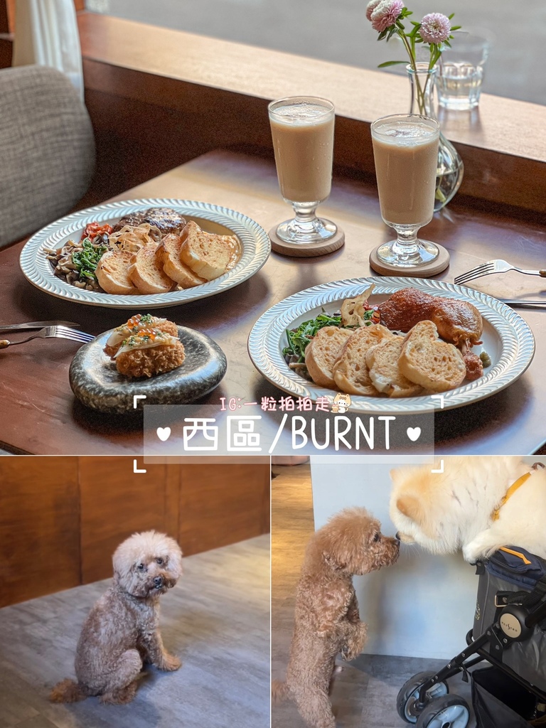 【懒人包】台中８间有店宠餐厅！店狗店猫都有！宠物友善餐厅/咖
