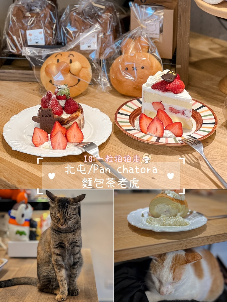 【懒人包】台中８间有店宠餐厅！店狗店猫都有！宠物友善餐厅/咖