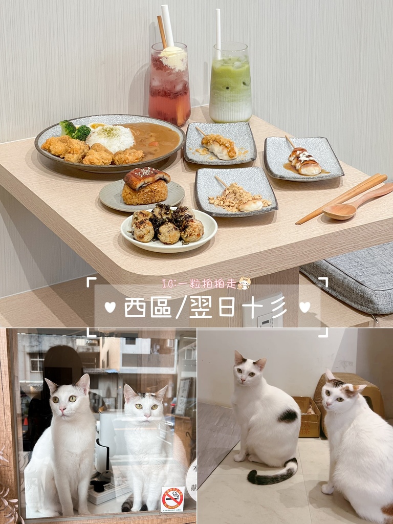 【懒人包】台中８间有店宠餐厅！店狗店猫都有！宠物友善餐厅/咖