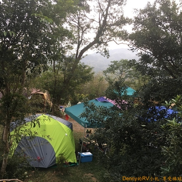 隱身在樹叢中 069