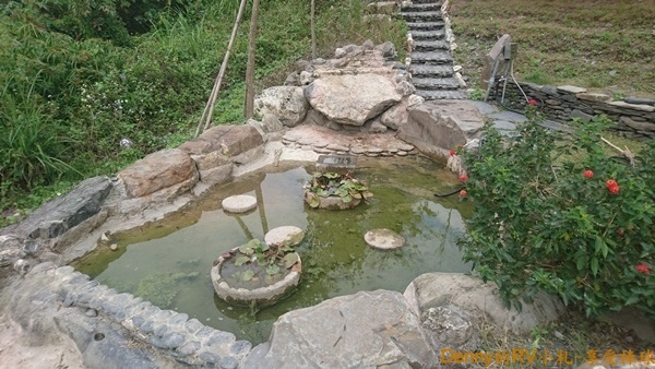 C區生態池 025