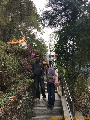 觀景台(7) 166
