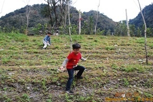 營地生活動(7) 202