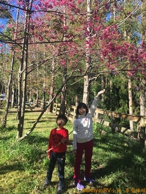 營地生活(5) 031