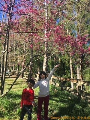 營地生活(6) 032