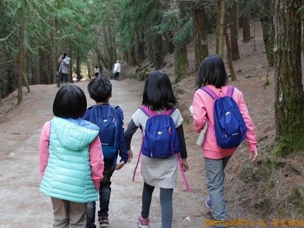 桃山步道(14) 097