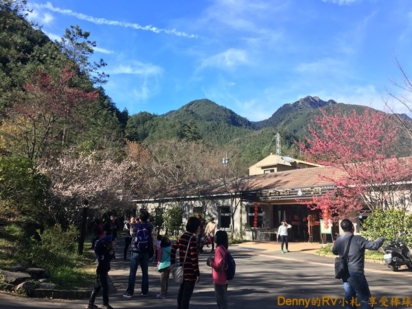 桃山步道(16) 100