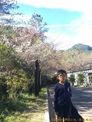 桃山步道(17) 102