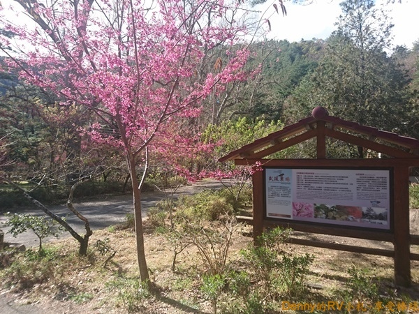 茶莊步道(5) 272