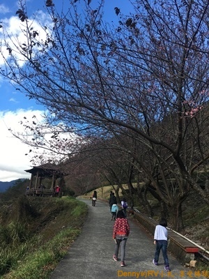 茶莊步道(8) 284