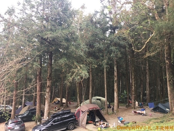 樹林區 IMG_6206