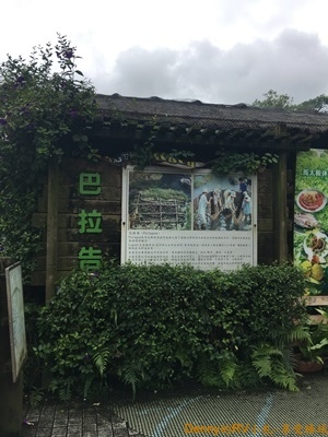 馬太鞍濕地(2) IMG_6745