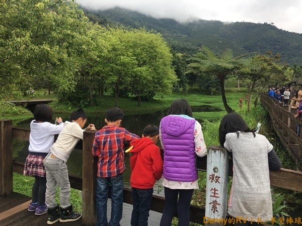 馬太鞍濕地(4) IMG_6762