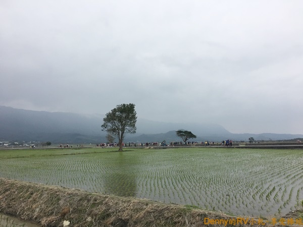 池上伯朗大道(10) IMG_6991