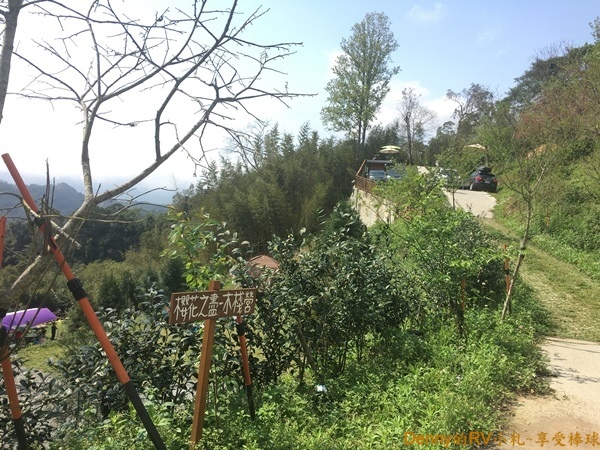 櫻花之盡入口 IMG_7957