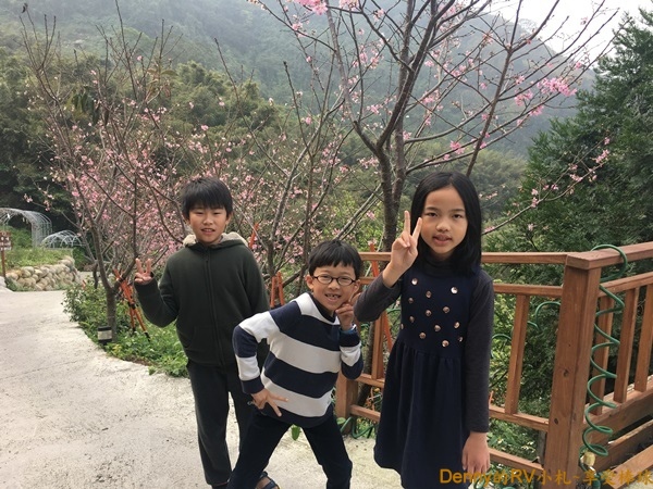 營地生活(4) IMG_8098