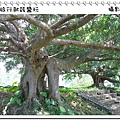 nEO_IMG_IMG_8525.jpg