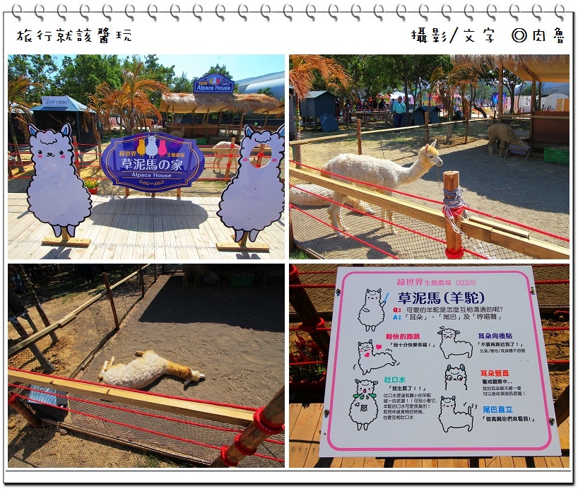 nEO_IMG_5.jpg nEO_IMG_5.jpg