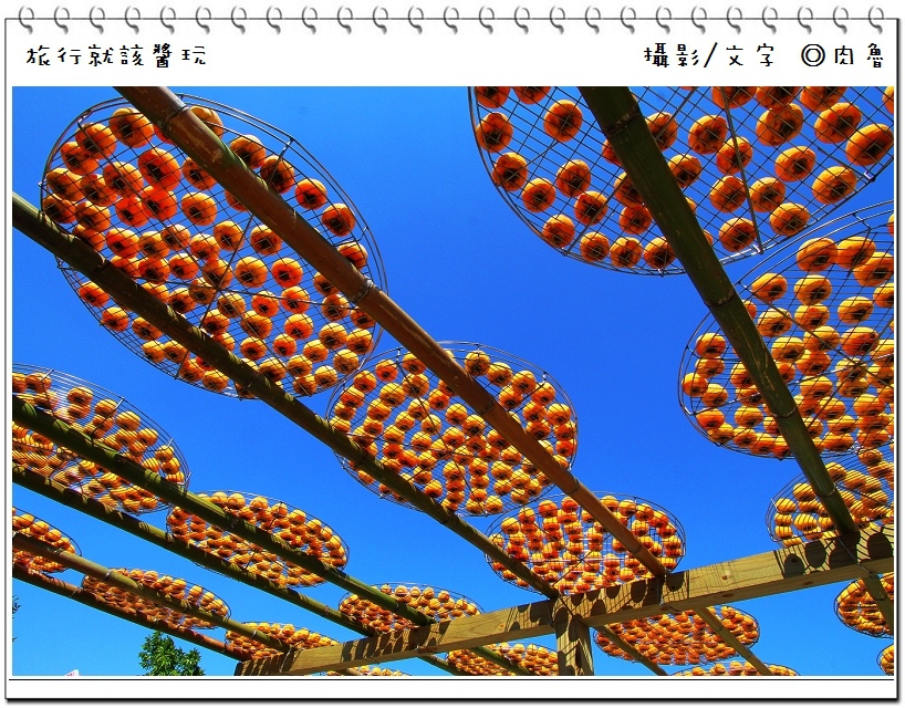 nEO_IMG_11.jpg nEO_IMG_11.jpg