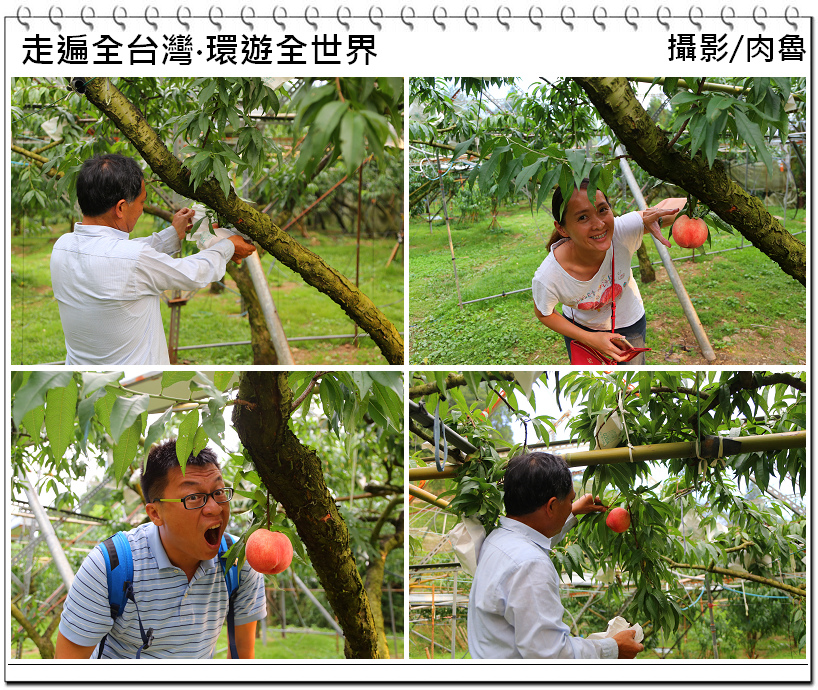 nEO_IMG_4.jpg nEO_IMG_4.jpg