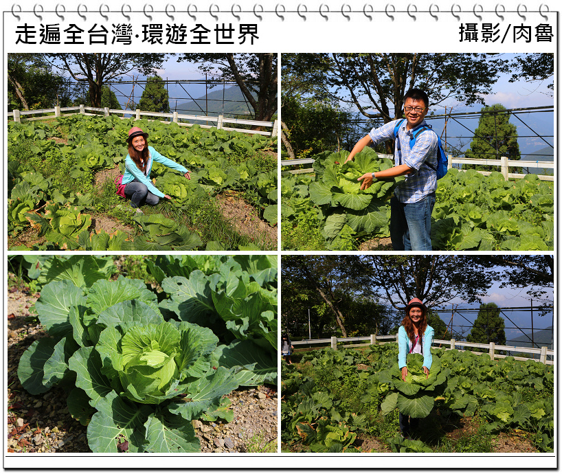 nEO_IMG_7.jpg nEO_IMG_7.jpg