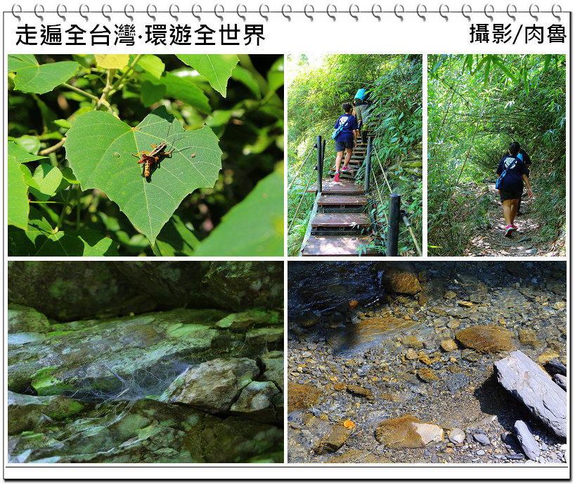 nEO_IMG_6.jpg nEO_IMG_6.jpg