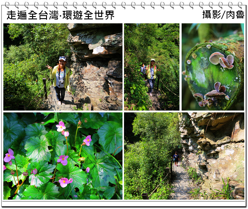 nEO_IMG_7.jpg nEO_IMG_7.jpg