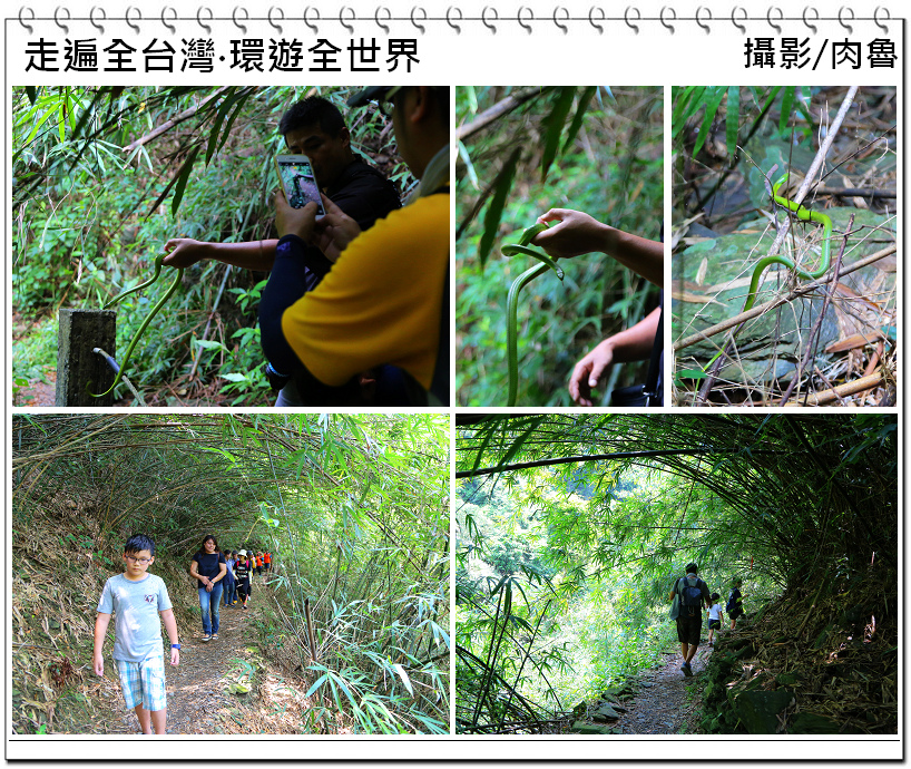 nEO_IMG_15.jpg nEO_IMG_15.jpg