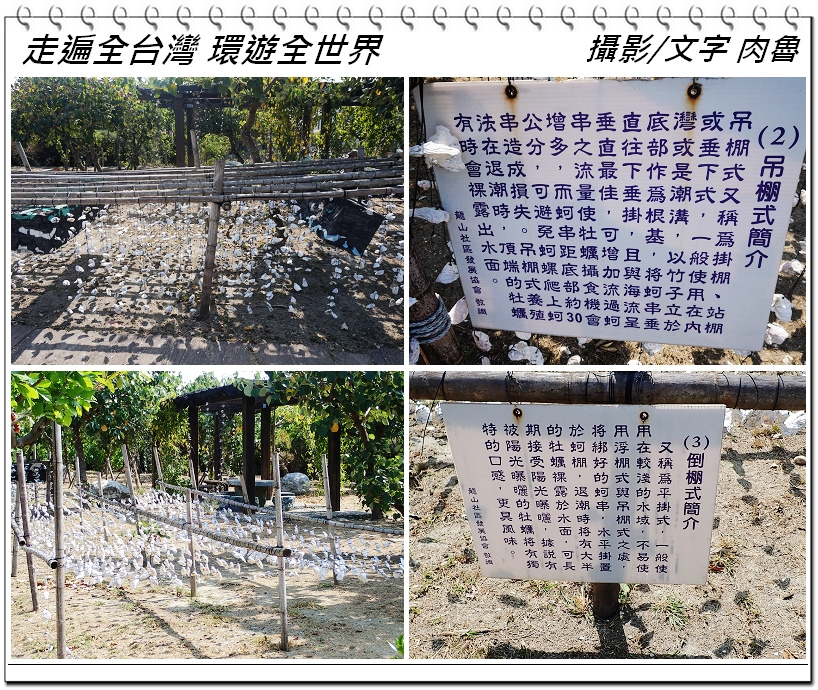 nEO_IMG_4.jpg nEO_IMG_4.jpg