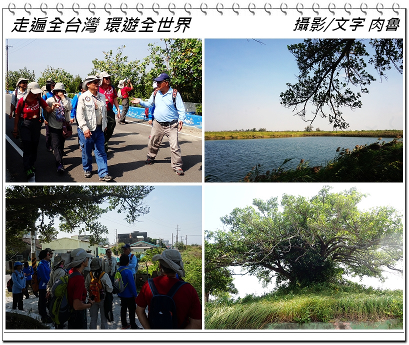 nEO_IMG_10.jpg nEO_IMG_10.jpg