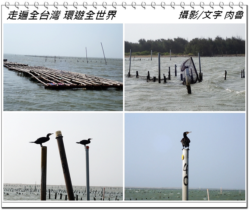 nEO_IMG_16.jpg nEO_IMG_16.jpg