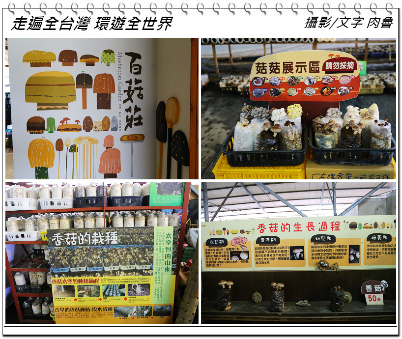 nEO_IMG_2.jpg nEO_IMG_2.jpg