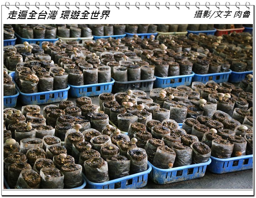 nEO_IMG_4.jpg nEO_IMG_4.jpg