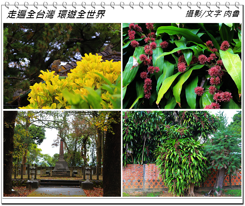 nEO_IMG_11.jpg nEO_IMG_11.jpg