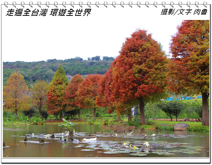 nEO_IMG_15.jpg nEO_IMG_15.jpg