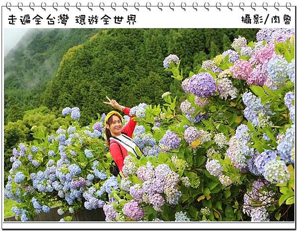 日本九州旅遊 佐賀四萬多株繡球花海 見帰りの滝繡球花祭 肉魯走遍全台灣 環遊全世界 痞客邦
