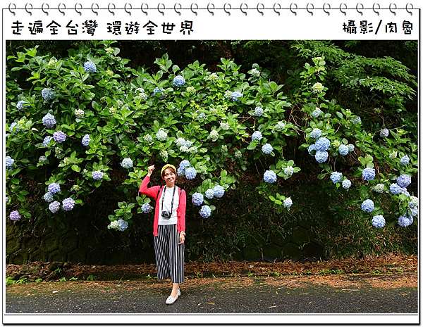 日本九州旅遊 佐賀四萬多株繡球花海 見帰りの滝繡球花祭 肉魯走遍全台灣 環遊全世界 痞客邦