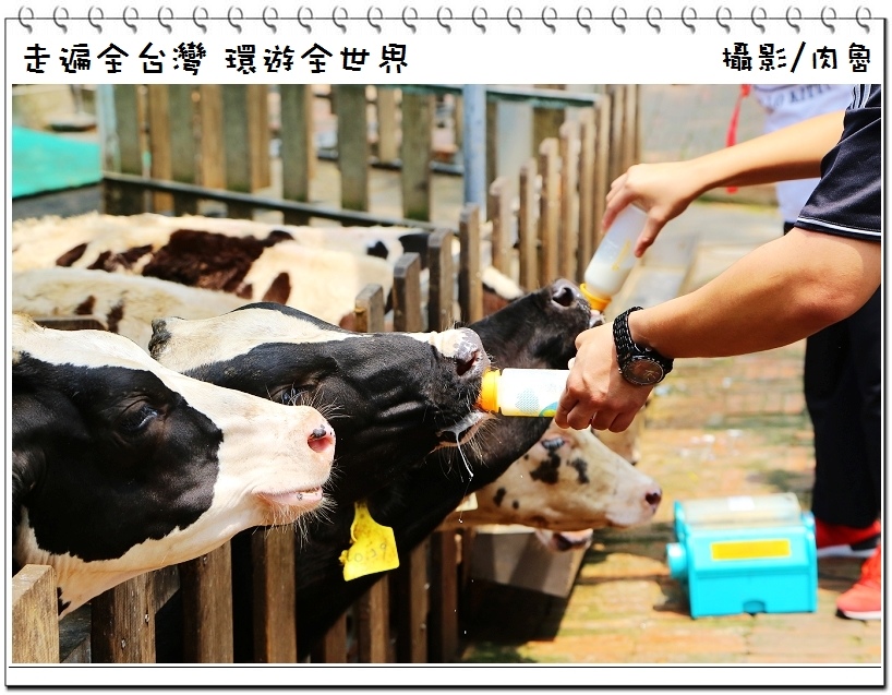 nEO_IMG_7.jpg nEO_IMG_7.jpg