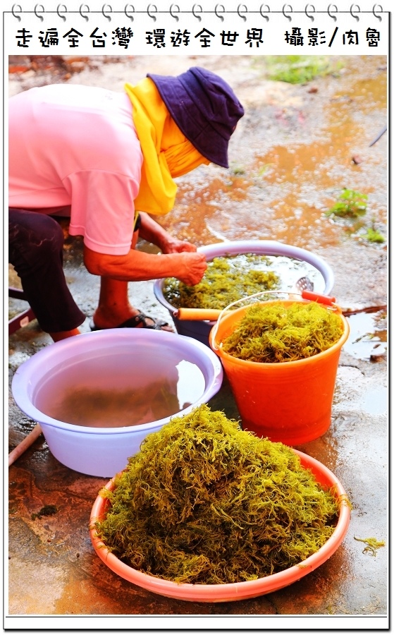 nEO_IMG_64.jpg nEO_IMG_64.jpg