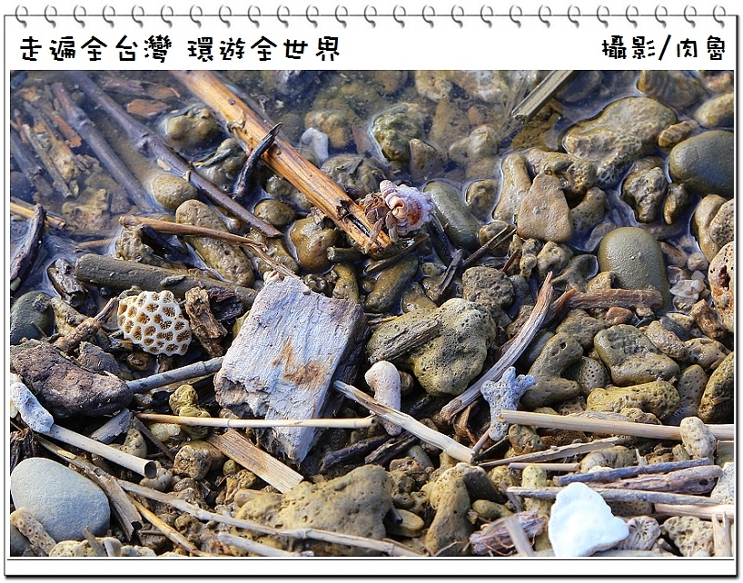 nEO_IMG_68.jpg nEO_IMG_68.jpg