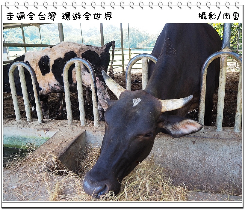 nEO_IMG_3.jpg nEO_IMG_3.jpg