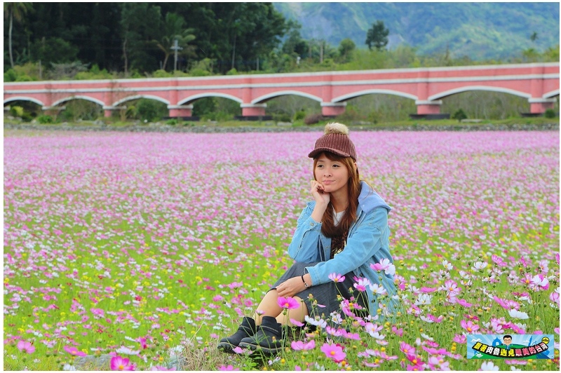 台東旅遊 過年走春新亮點 美不勝收的鹿野二層坪水橋花海 紅藜裝置藝術好好拍 肉魯走遍全台灣 環遊全世界 台東旅遊 過年走春新亮點 美不勝收的鹿野二層坪水橋花海 紅藜裝置藝術好好拍 肉魯走遍全台灣 環遊全世界