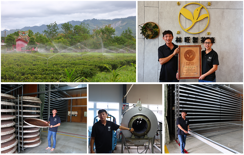 台東好好玩!縱谷山海線!紅烏龍茶、咖啡林道、部落文化及特色美 台東好好玩!縱谷山海線!紅烏龍茶、咖啡林道、部落文化及特色美