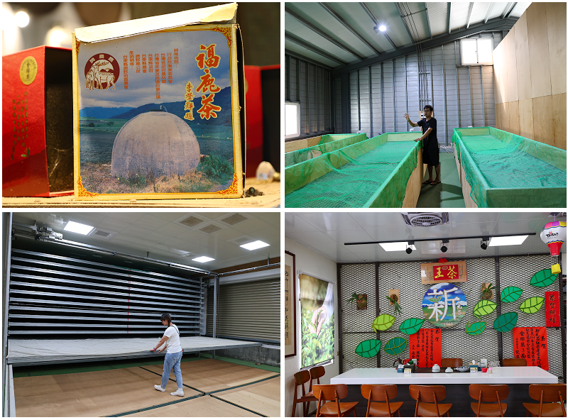 台東好好玩!縱谷山海線!紅烏龍茶、咖啡林道、部落文化及特色美 台東好好玩!縱谷山海線!紅烏龍茶、咖啡林道、部落文化及特色美