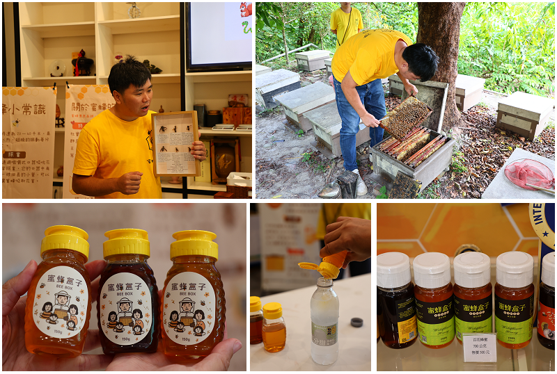 台東好好玩!縱谷山海線!紅烏龍茶、咖啡林道、部落文化及特色美 台東好好玩!縱谷山海線!紅烏龍茶、咖啡林道、部落文化及特色美