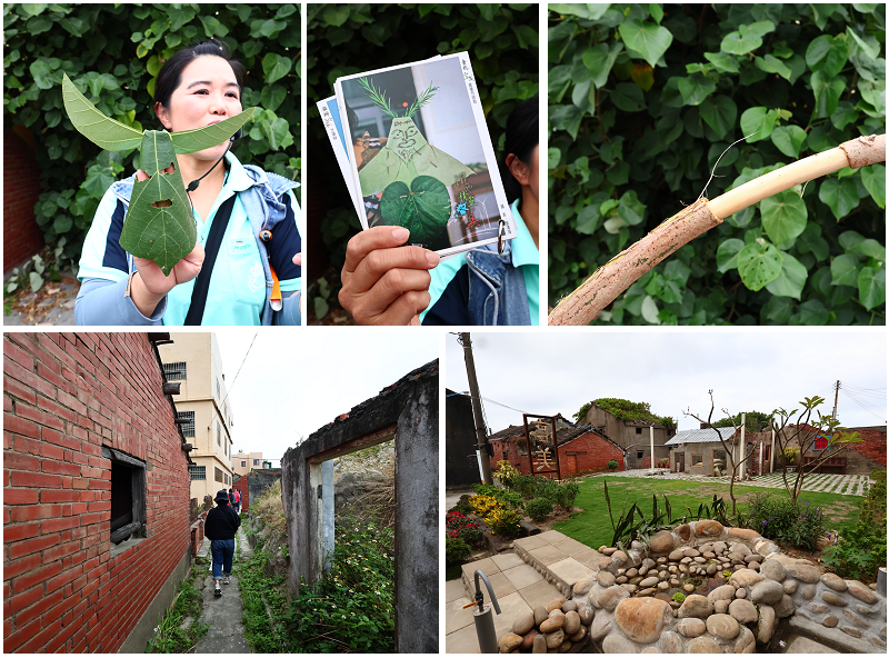 台中好線好好玩！梧棲老街、高美濕地、江家玫瑰園、阿聰師芋頭文