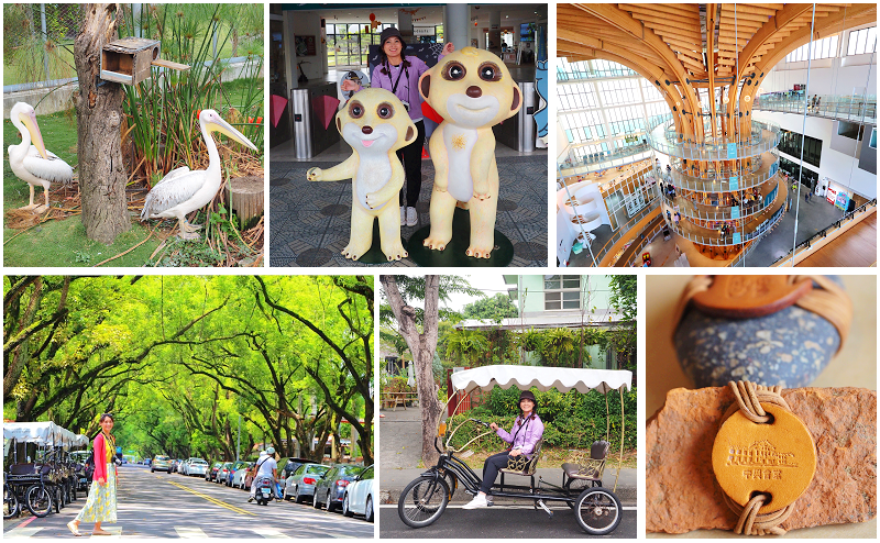 南投好玩卡！中興新村、半山夢工廠、九九峰動物樂園玩透透！大推
