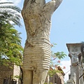 DSC08810.JPG