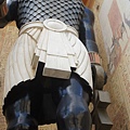 DSC08813.JPG