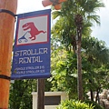 DSC08816.JPG